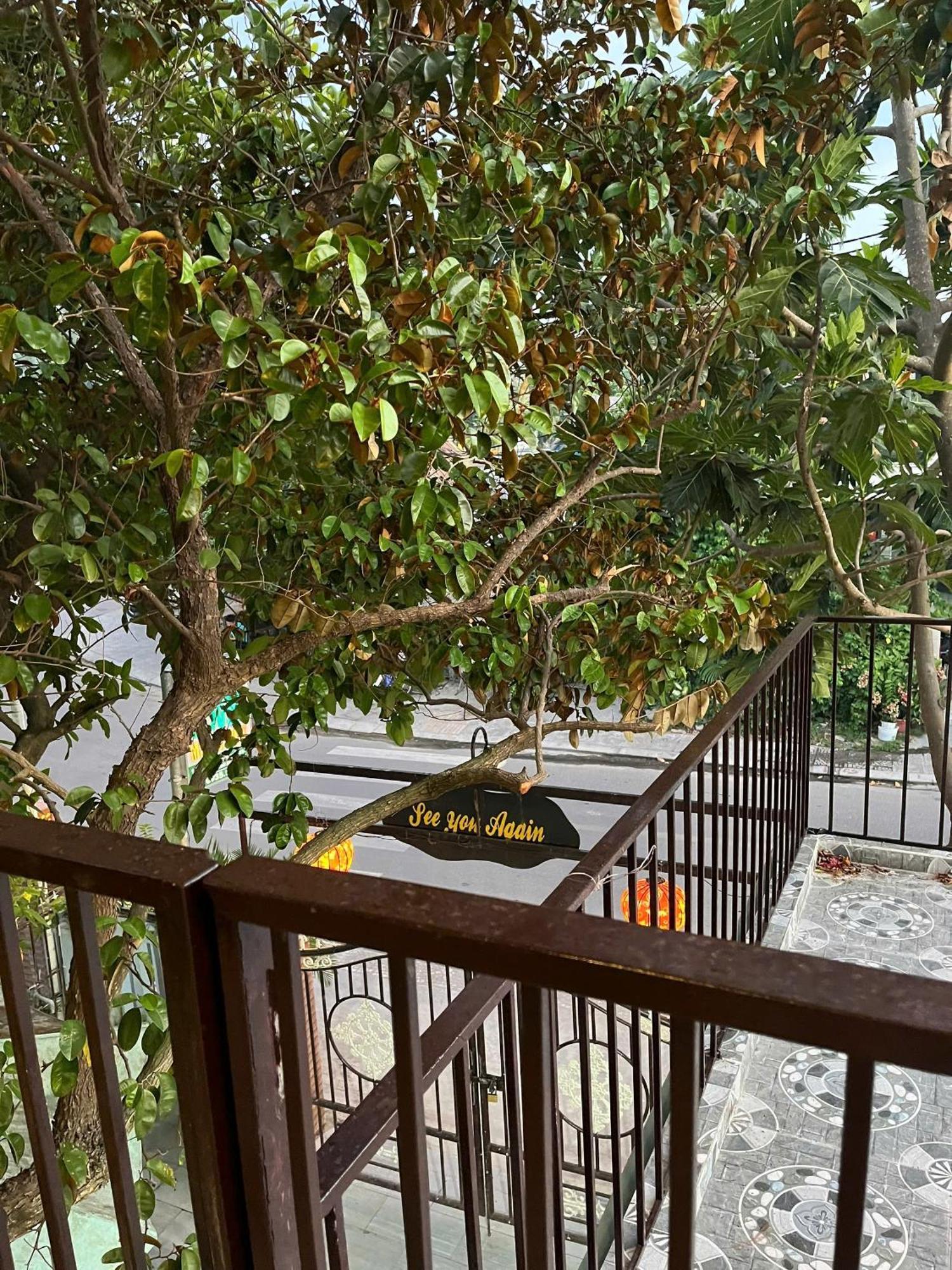 Milk Fruit Homestay - An Bang Beach Hội An Extérieur photo